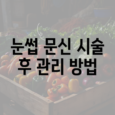 눈썹 문신 시술 후 관리 방법