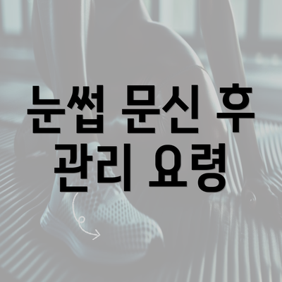 눈썹 문신 후 관리 요령