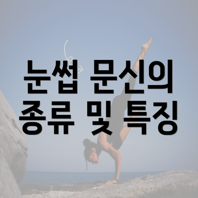 눈썹 문신의 종류 및 특징