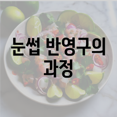 눈썹 반영구의 과정