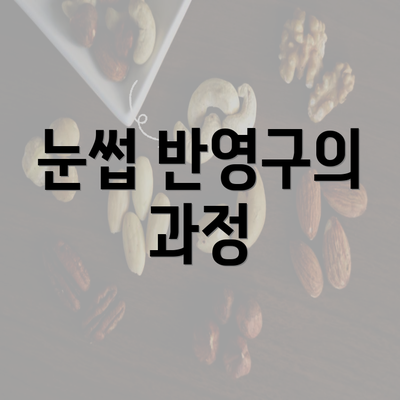 눈썹 반영구의 과정