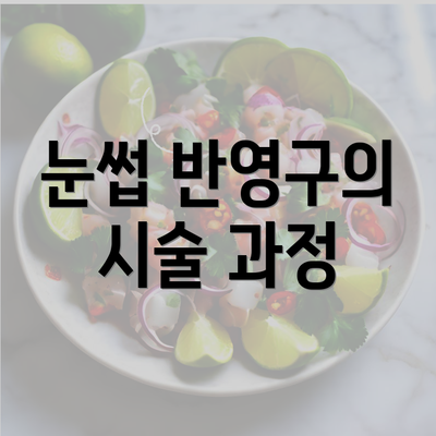 눈썹 반영구의 시술 과정