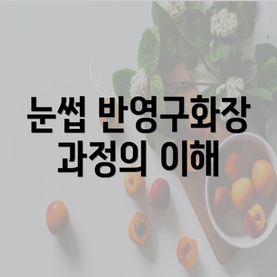 눈썹 반영구화장 과정의 이해