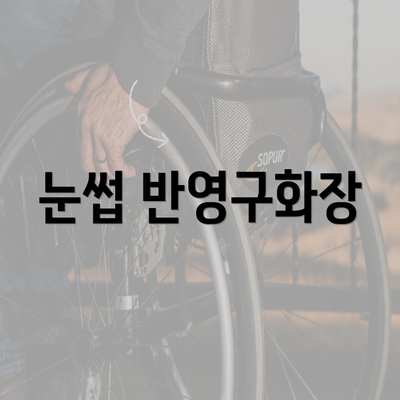 눈썹 반영구화장