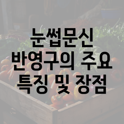 눈썹문신 반영구의 주요 특징 및 장점