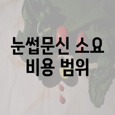 눈썹문신 소요 비용 범위