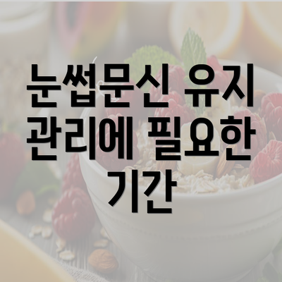 눈썹문신 유지 관리에 필요한 기간