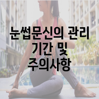 눈썹문신의 관리 기간 및 주의사항