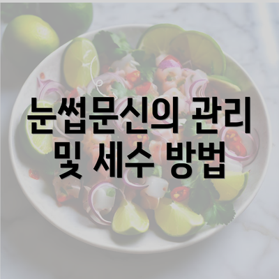 눈썹문신의 관리 및 세수 방법