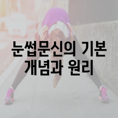 눈썹문신의 기본 개념과 원리