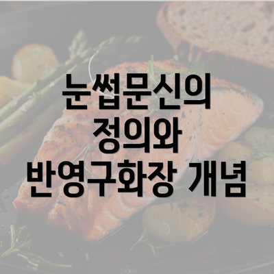 눈썹문신의 정의와 반영구화장 개념