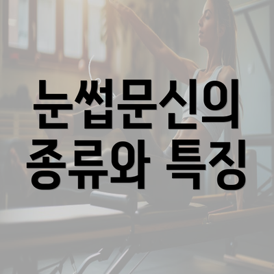 눈썹문신의 종류와 특징