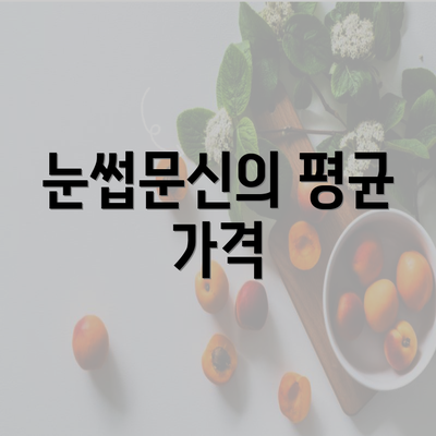 눈썹문신의 평균 가격