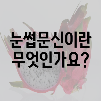 눈썹문신이란 무엇인가요?