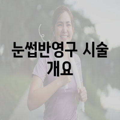 눈썹반영구 시술 개요