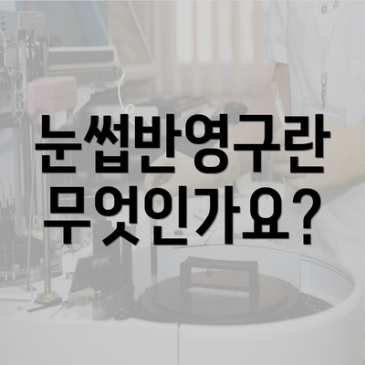 눈썹반영구란 무엇인가요?