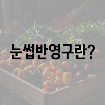 눈썹반영구란?