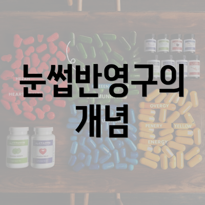 눈썹반영구의 개념