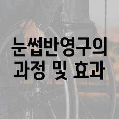 눈썹반영구의 과정 및 효과