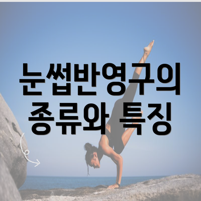 눈썹반영구의 종류와 특징