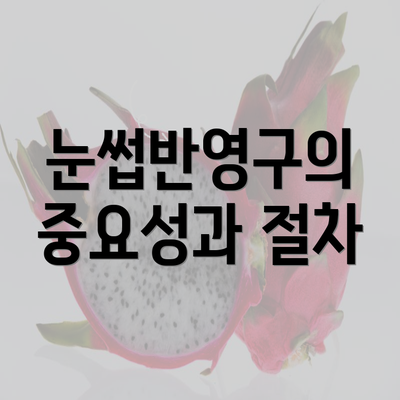 눈썹반영구의 중요성과 절차