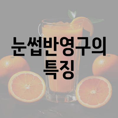 눈썹반영구의 특징