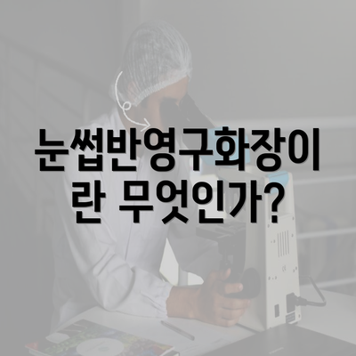 눈썹반영구화장이란 무엇인가?