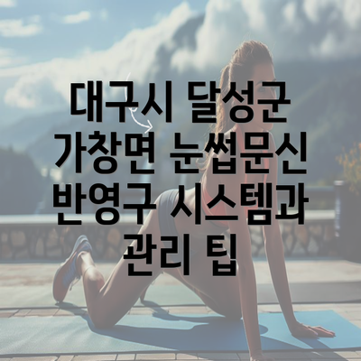 대구시 달성군 가창면 눈썹문신 반영구 시스템과 관리 팁