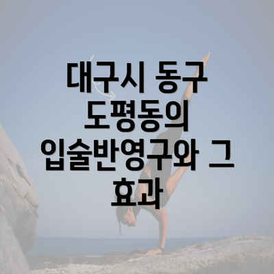 대구시 동구 도평동의 입술반영구와 그 효과