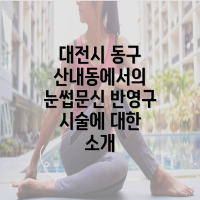 대전시 동구 산내동에서의 눈썹문신 반영구 시술에 대한 소개