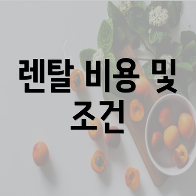 렌탈 비용 및 조건