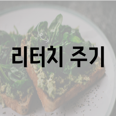 리터치 주기