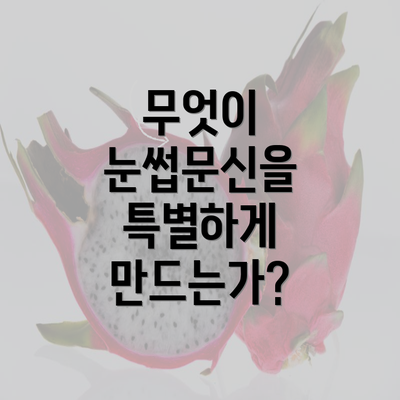 무엇이 눈썹문신을 특별하게 만드는가?