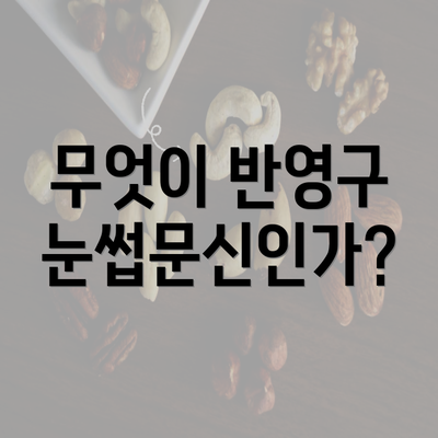 무엇이 반영구 눈썹문신인가?