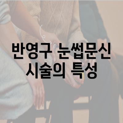 반영구 눈썹문신 시술의 특성