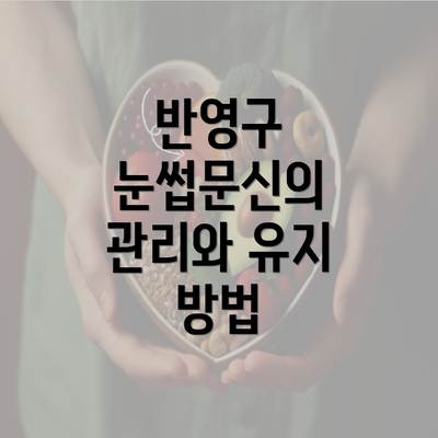 반영구 눈썹문신의 관리와 유지 방법