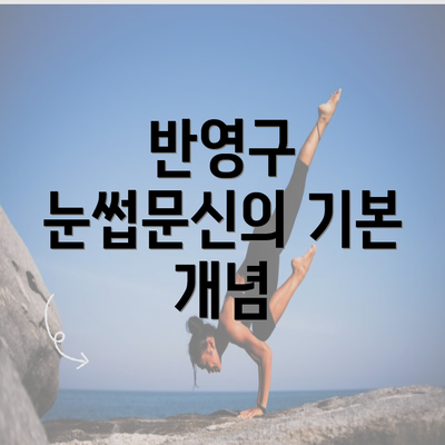 반영구 눈썹문신의 기본 개념