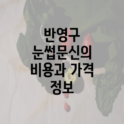 반영구 눈썹문신의 비용과 가격 정보