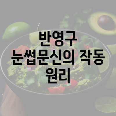 반영구 눈썹문신의 작동 원리