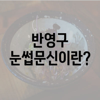 반영구 눈썹문신이란?