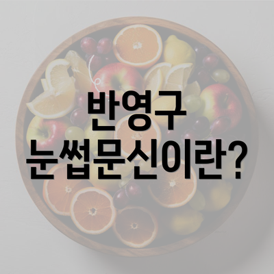 반영구 눈썹문신이란?