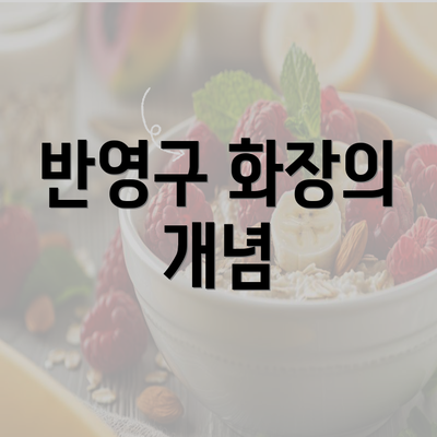 반영구 화장의 개념