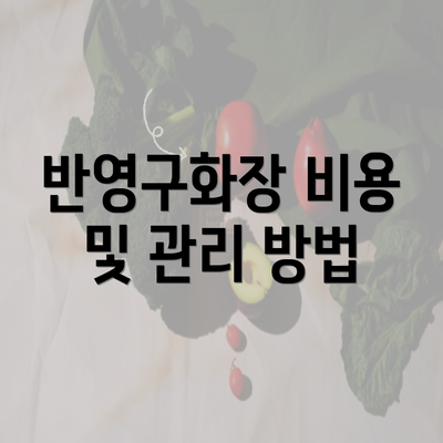 반영구화장 비용 및 관리 방법