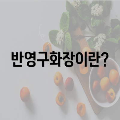 반영구화장이란?