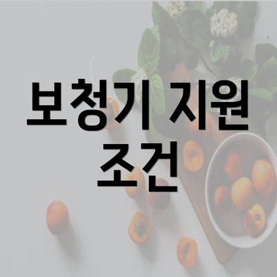 보청기 지원 조건