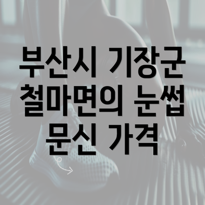 부산시 기장군 철마면의 눈썹 문신 가격