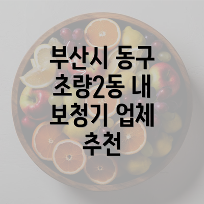 부산시 동구 초량2동 내 보청기 업체 추천