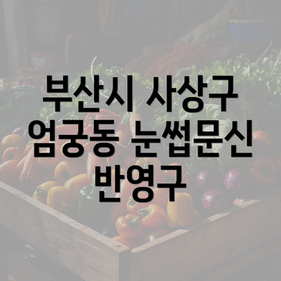 부산시 사상구 엄궁동 눈썹문신 반영구