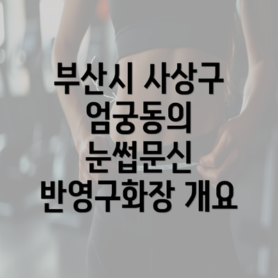 부산시 사상구 엄궁동의 눈썹문신 반영구화장 개요