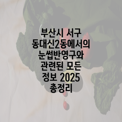 부산시 서구 동대신2동에서의 눈썹반영구와 관련된 모든 정보 2025 총정리